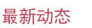 最新動態 